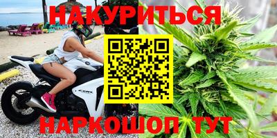 сатива Волжский