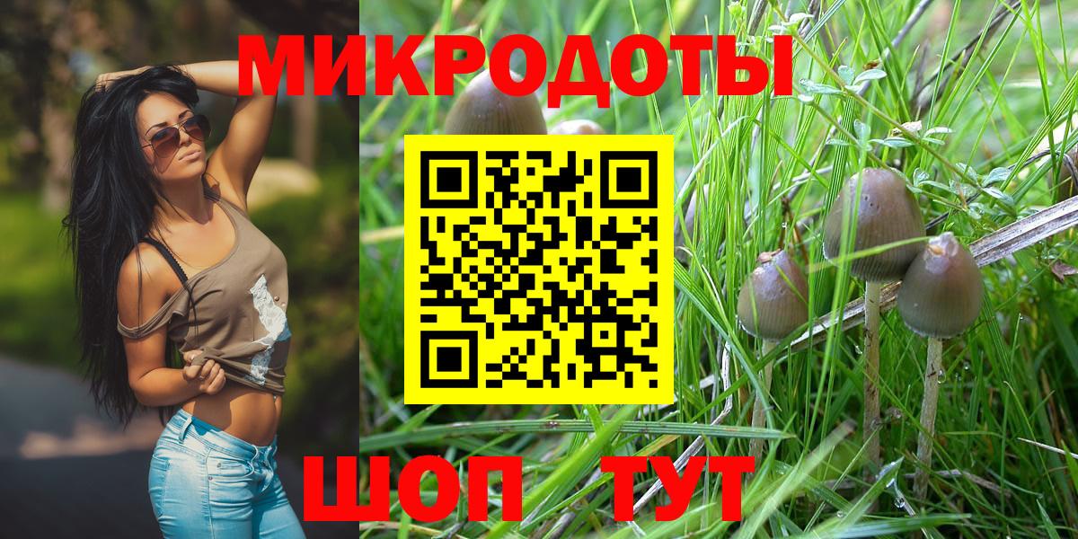 Скопин  Псилоцибиновые грибы Psilocybe  Псилоцибиновые грибы Psilocybe  Вход с VPN 